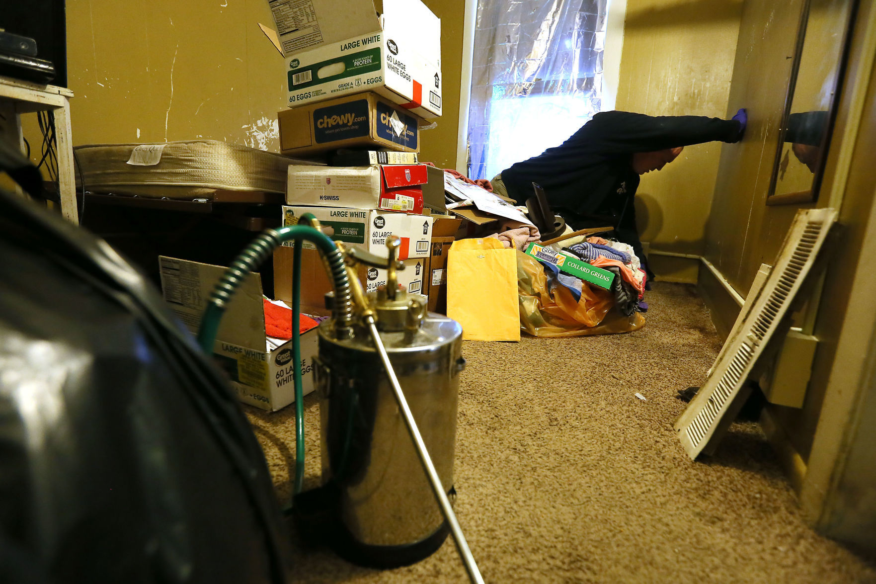 011319-qct-fea-bedbugs-010